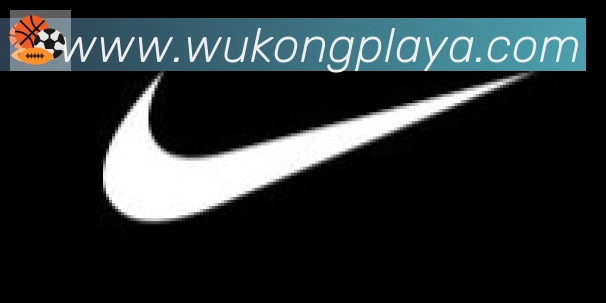 悟空体育合作伙伴