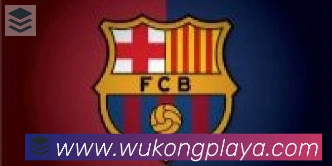 悟空体育合作伙伴