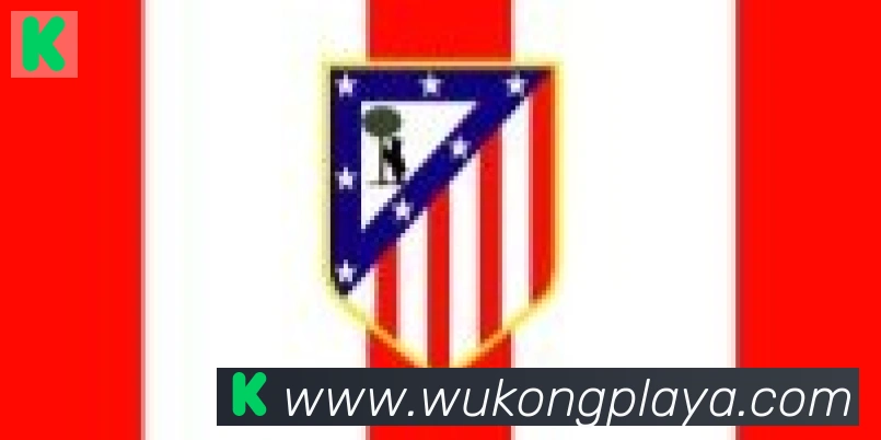 悟空体育合作伙伴